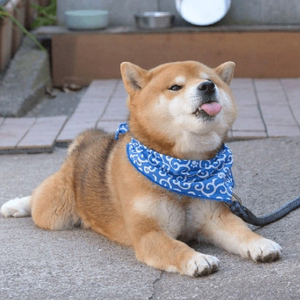 bormkyL