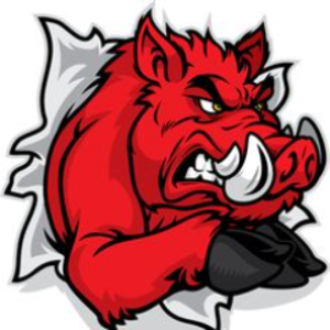 BS_RaZorBacK26
