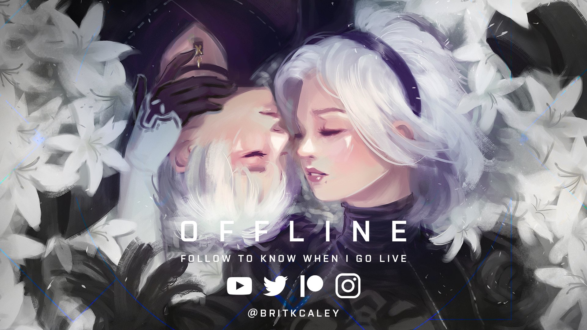 BruteForceBrit Offline Background