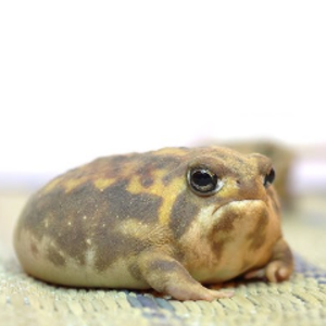 MatrakIsMe