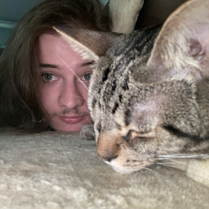 ChunkObvious
