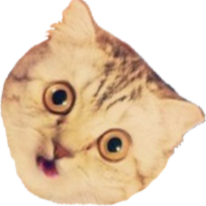 ReikonNeko