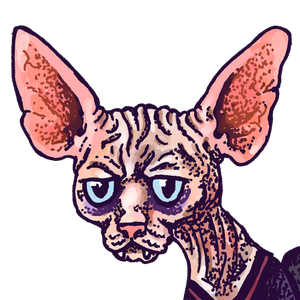 disgruntled_puddin