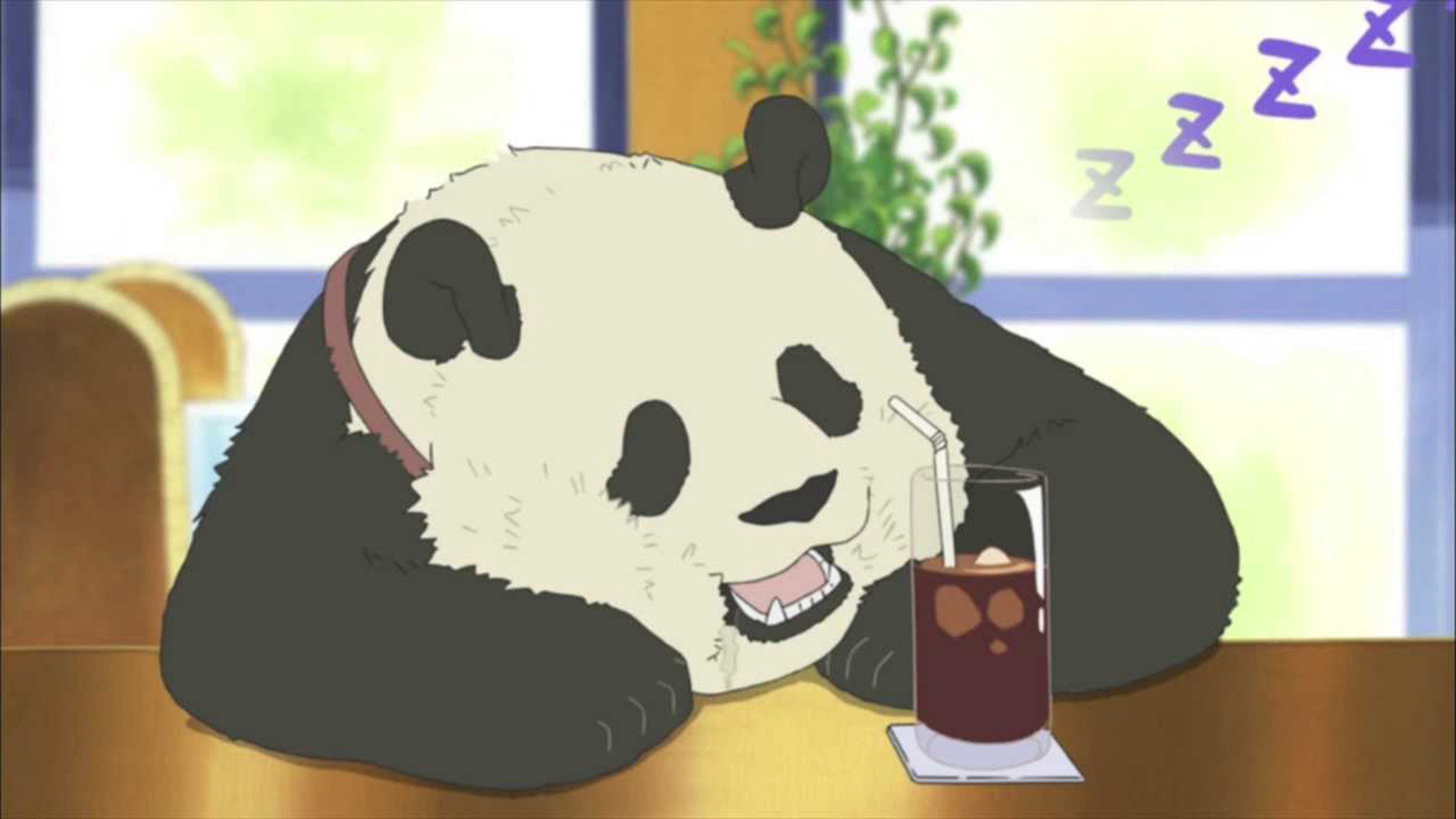 am4zingpanda Offline Background