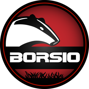 Borsio