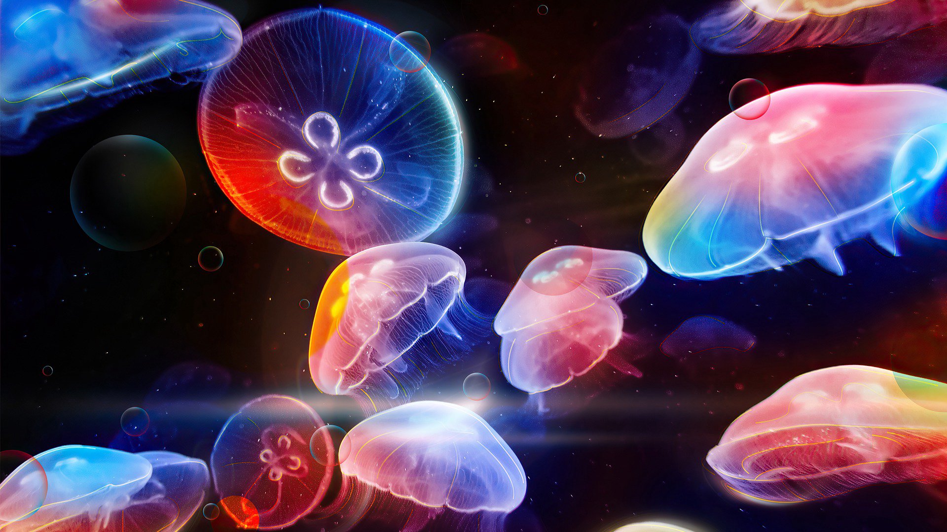 lizetteviolet Offline Background