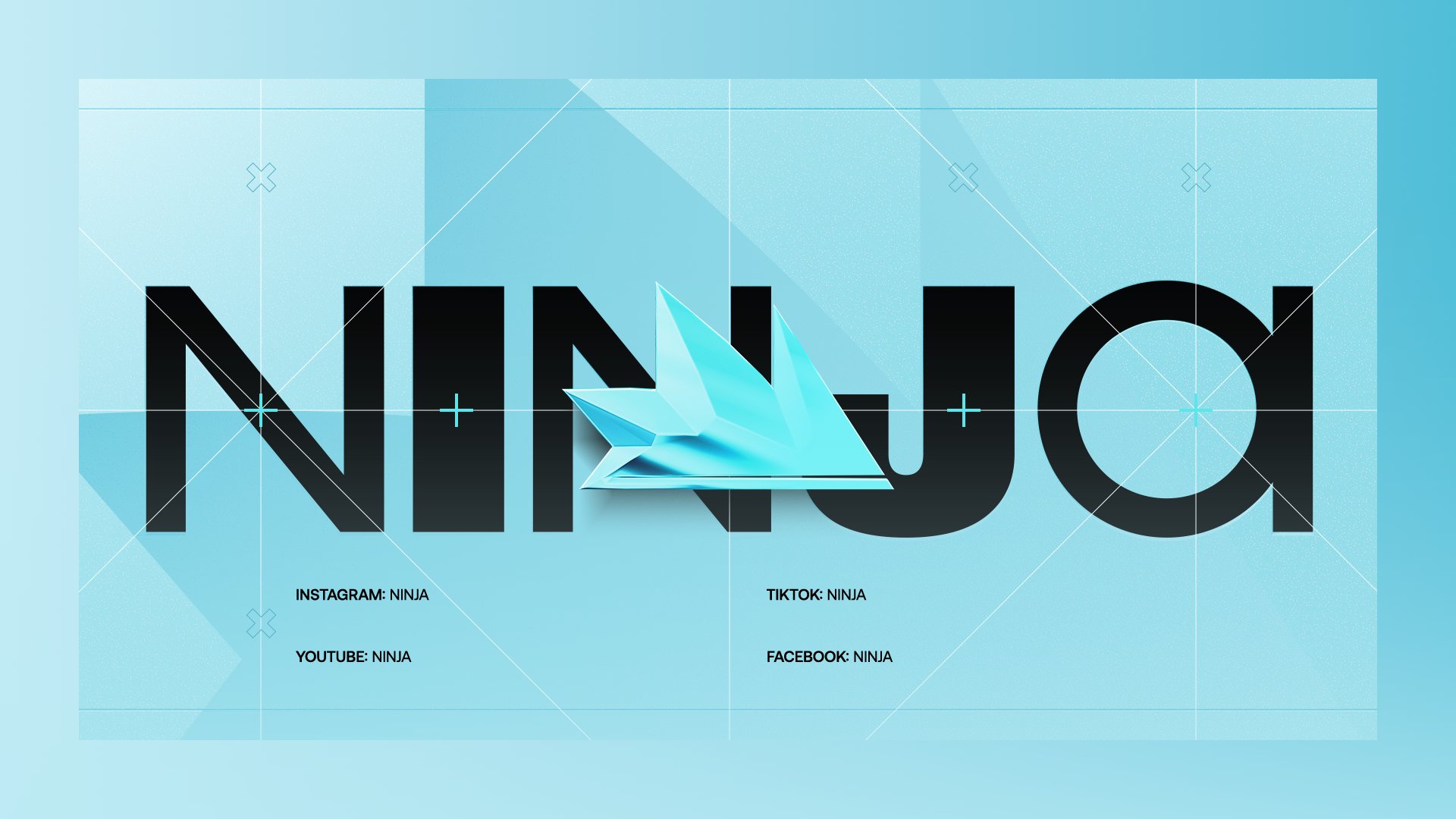 Ninja Offline Background