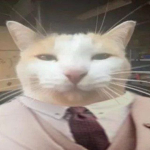 nilinv