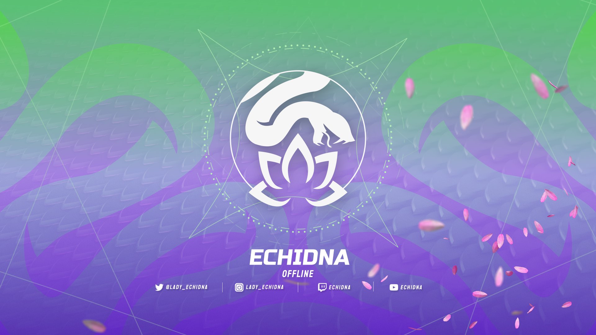 Echidna Offline Background