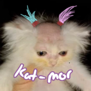 KatMor_25