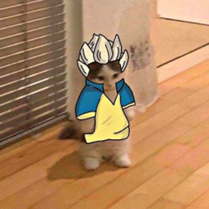 faytobinks