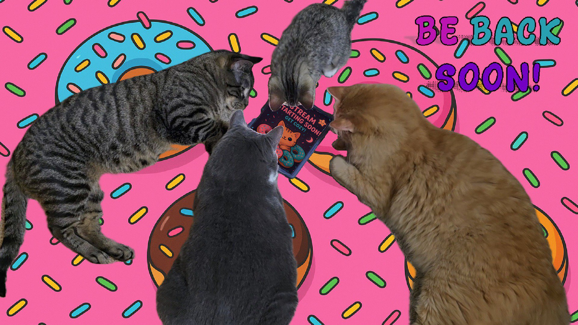 FreeDonuts679 Offline Background