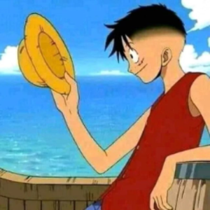 PaniniDL