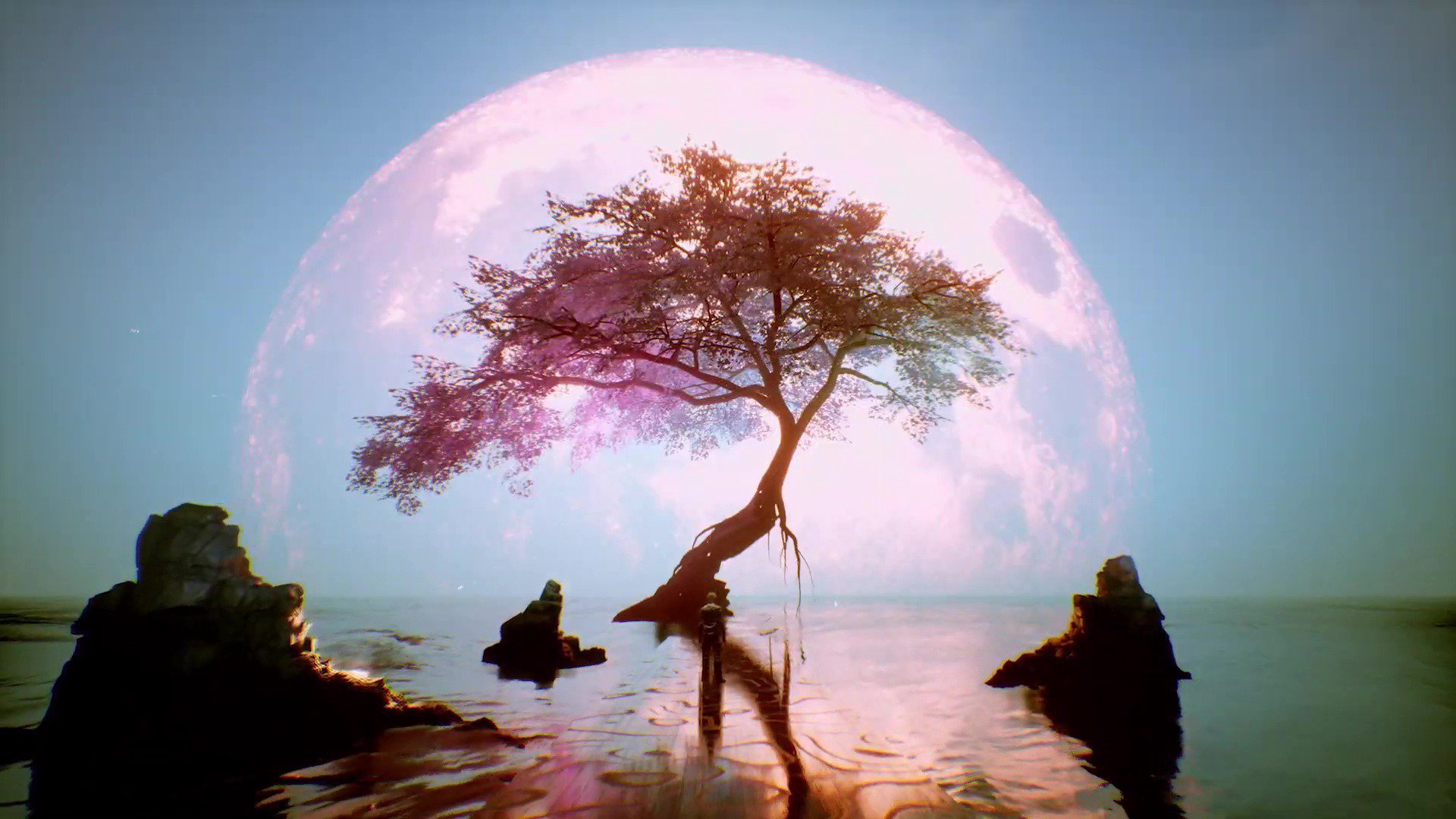 lunacirculation Offline Background