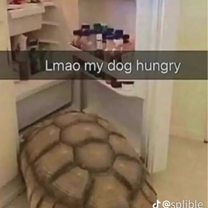 couchpringles85
