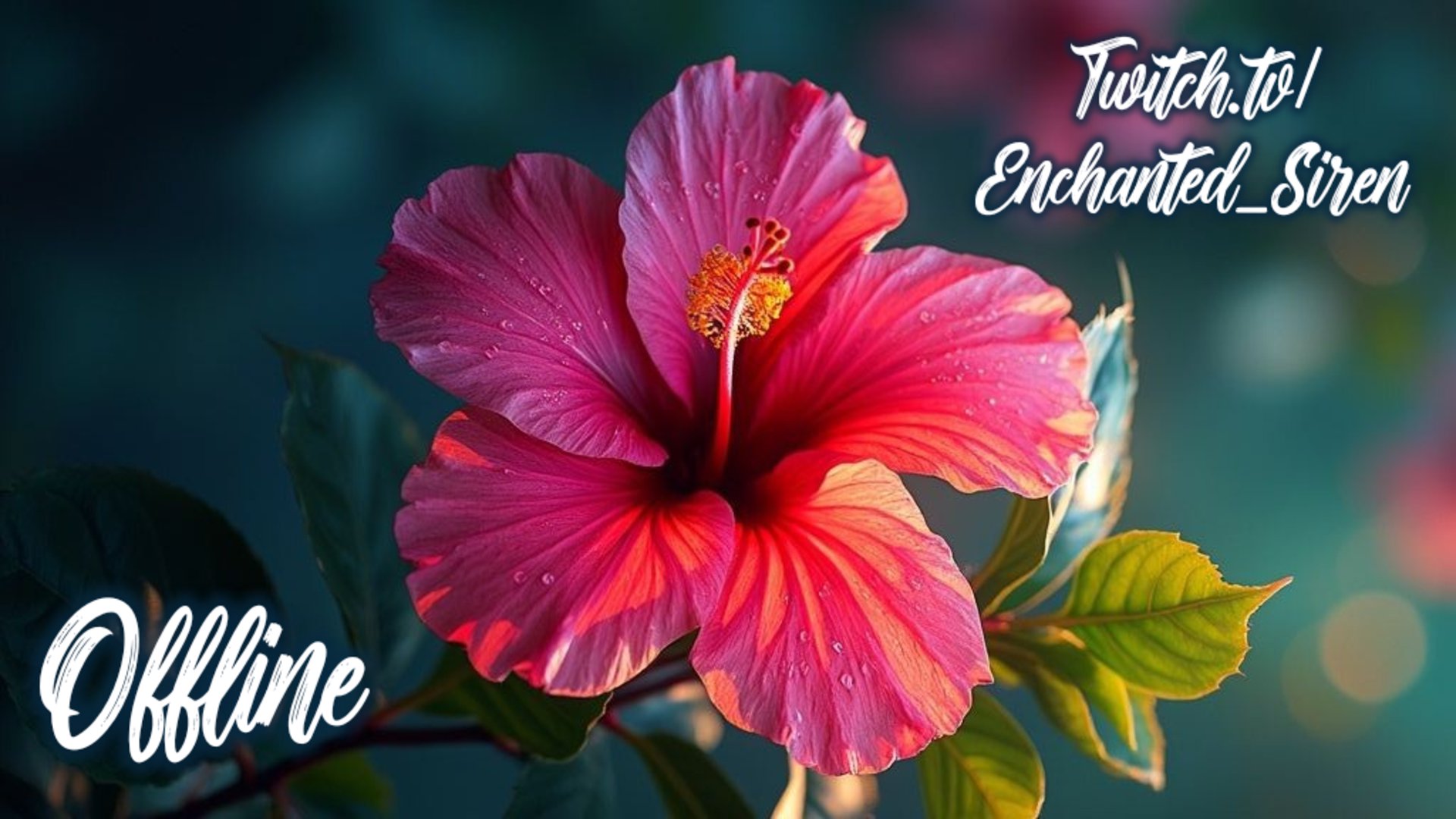 Enchanted_Siren Offline Background