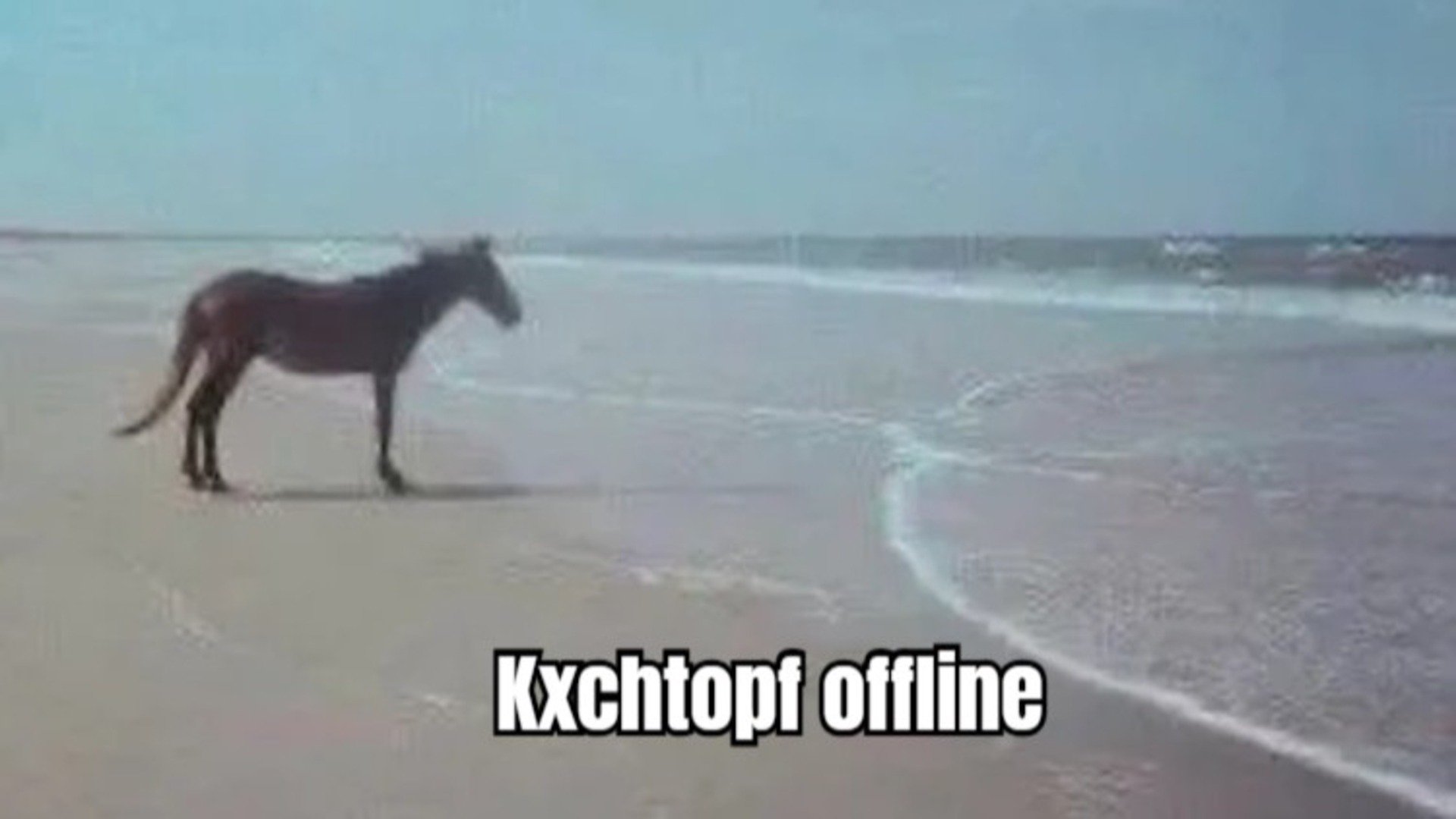 Kxchtopf Offline Background
