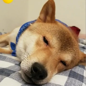 jonahncurryahn