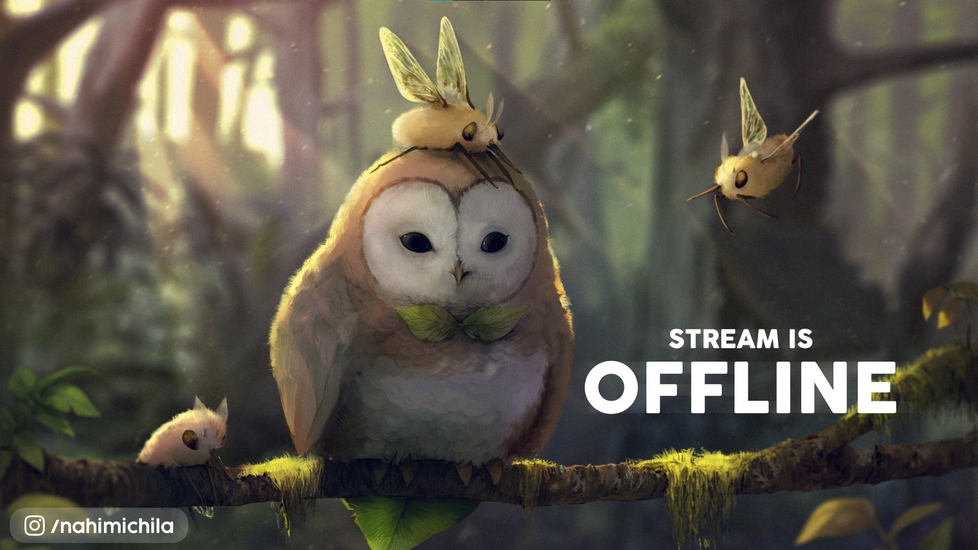 nahimichila Offline Background