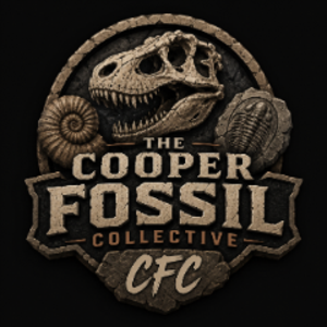 CooperFossilCollective