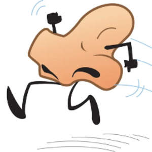 DuoTocha