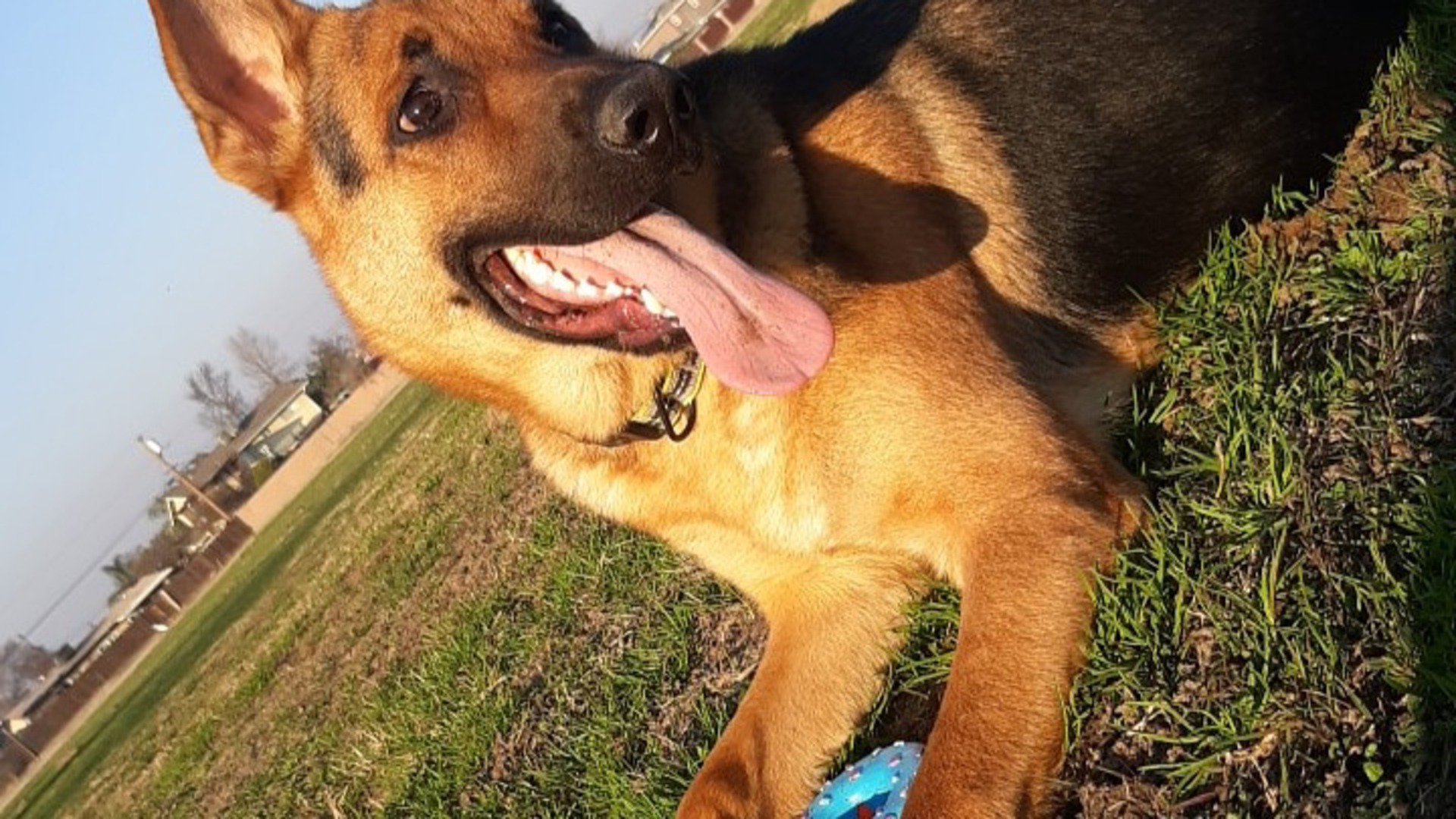 Mattflowzz Offline Background