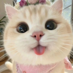 babybxrley_ Offline Background