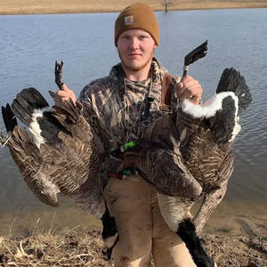 justinheiden_TLC