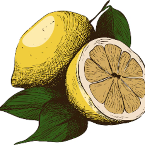 retro_lemon_