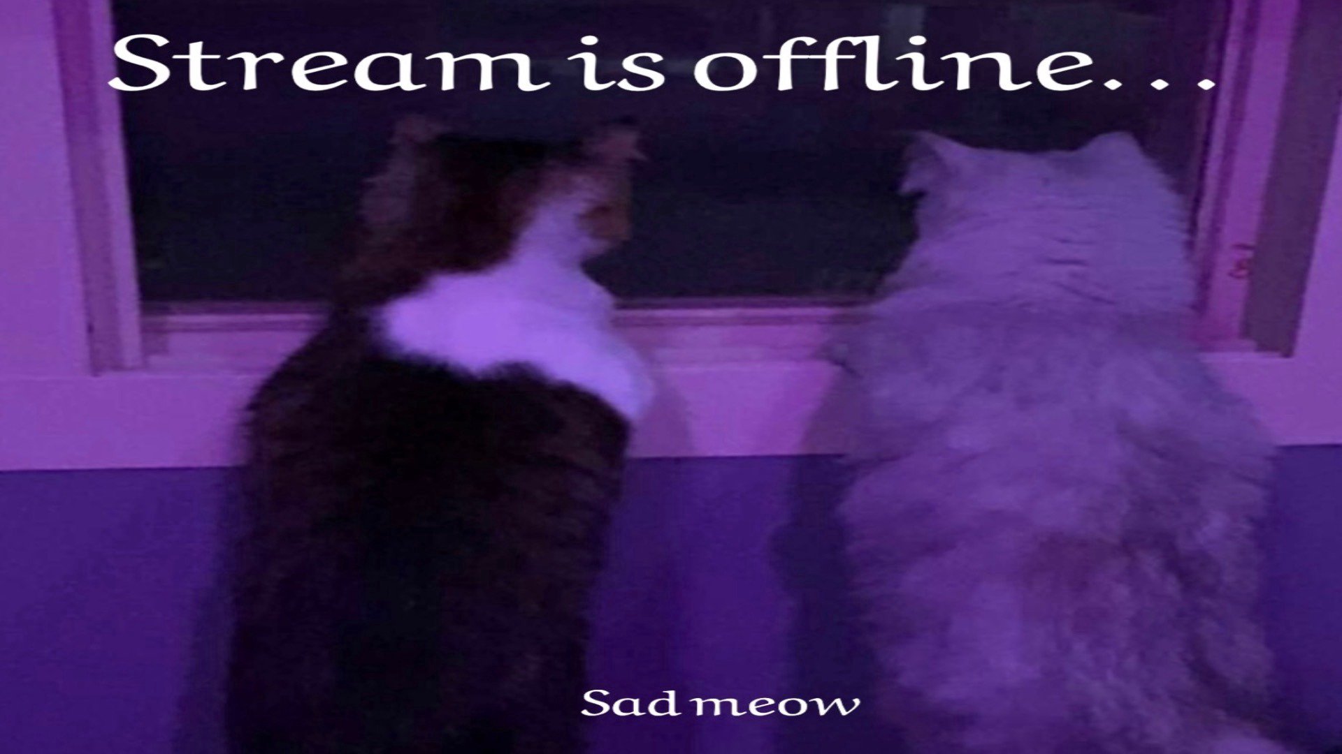 irlReem Offline Background