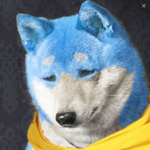 星犬