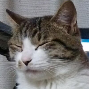numanuma_jiro