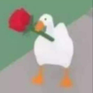 shiny_rag19