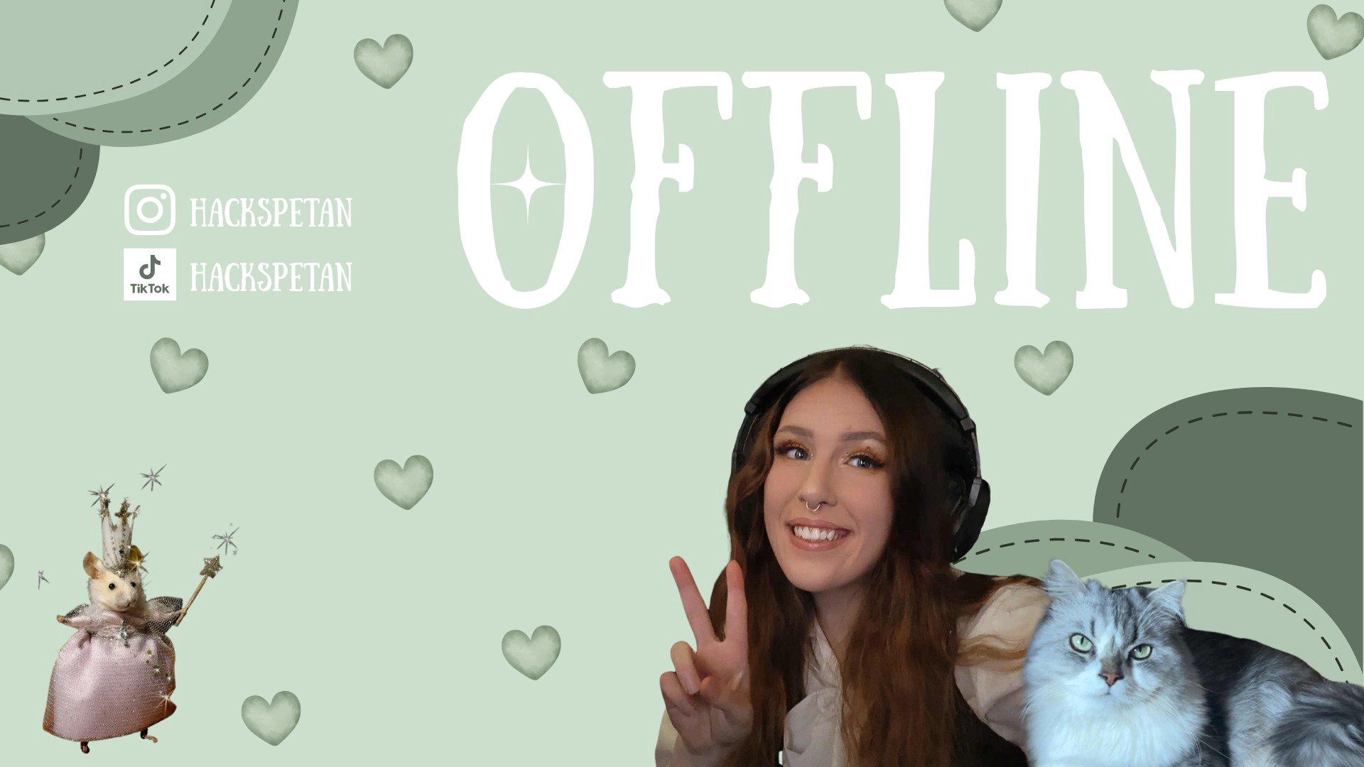 Hackspetan Offline Background