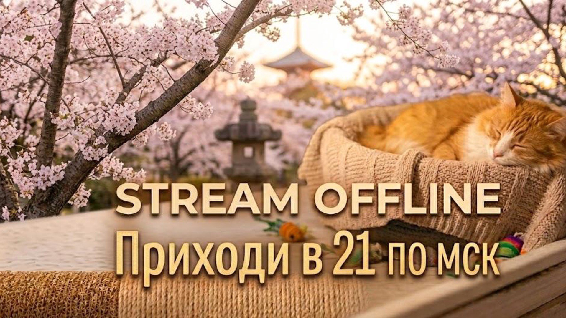 djsh4ne Offline Background