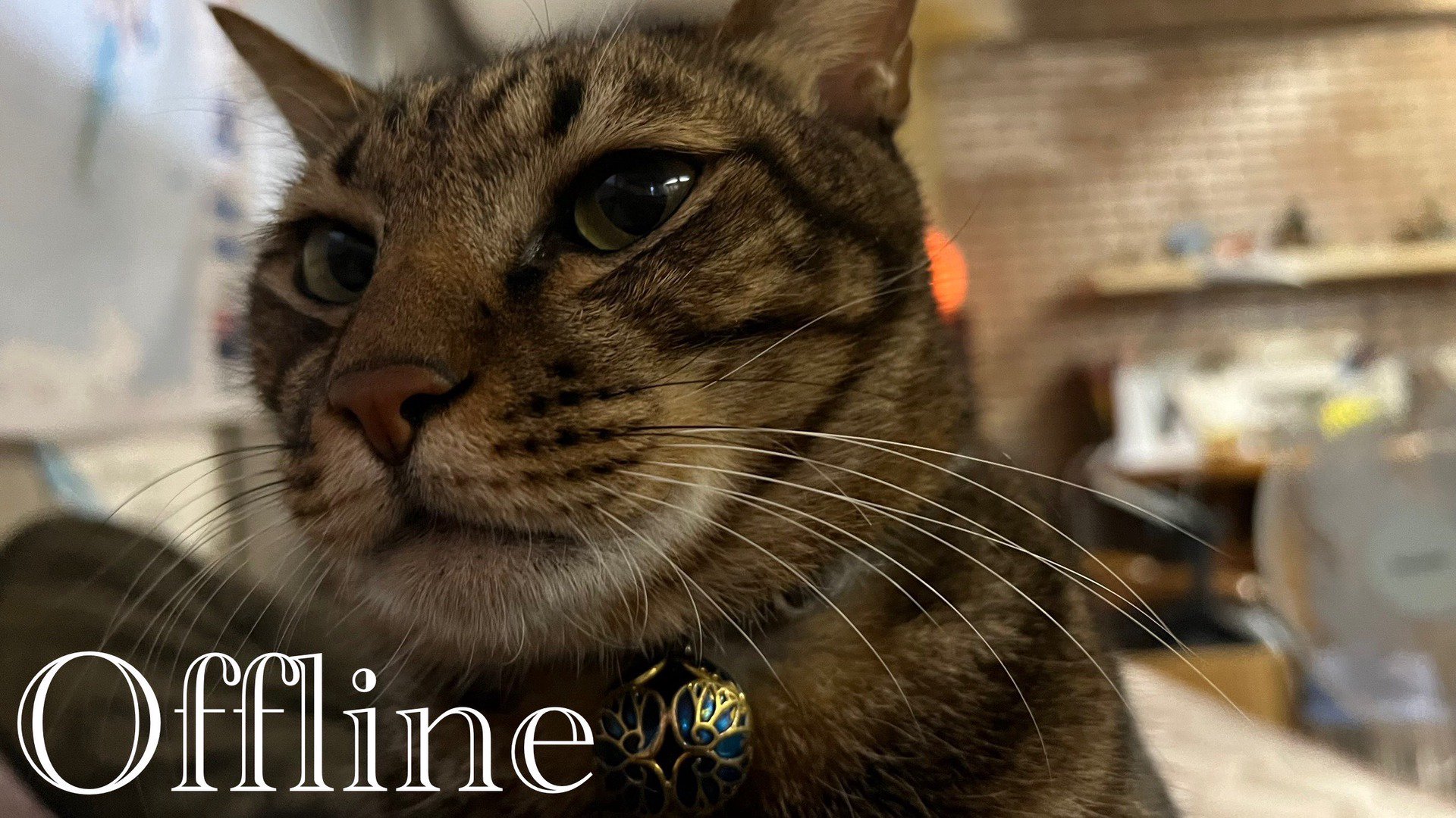 雨宮搜拉 Offline Background