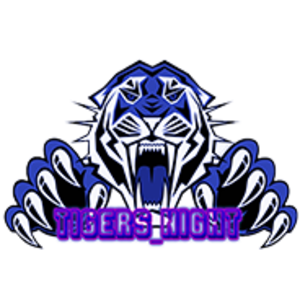 Tigers_Night
