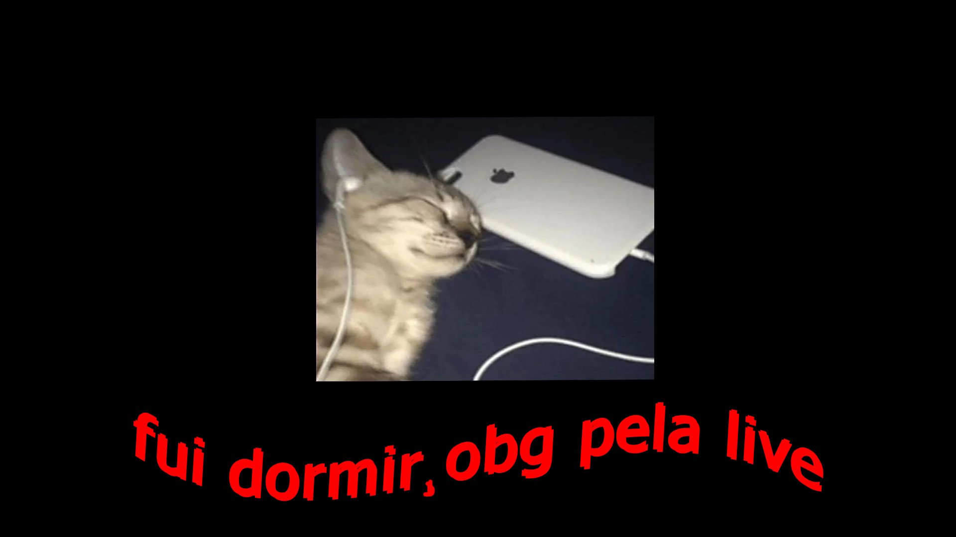 ItsBoNii Offline Background