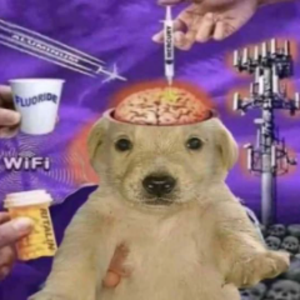 Cheezeman3333