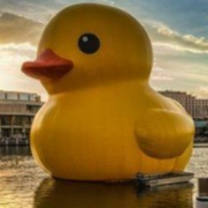 masterpato_1377