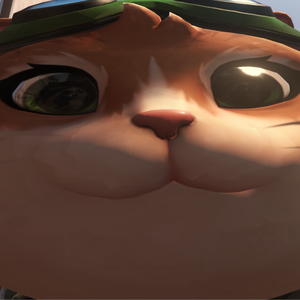 BonelessRaccoon7