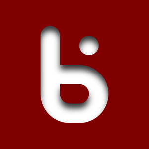 bitluni