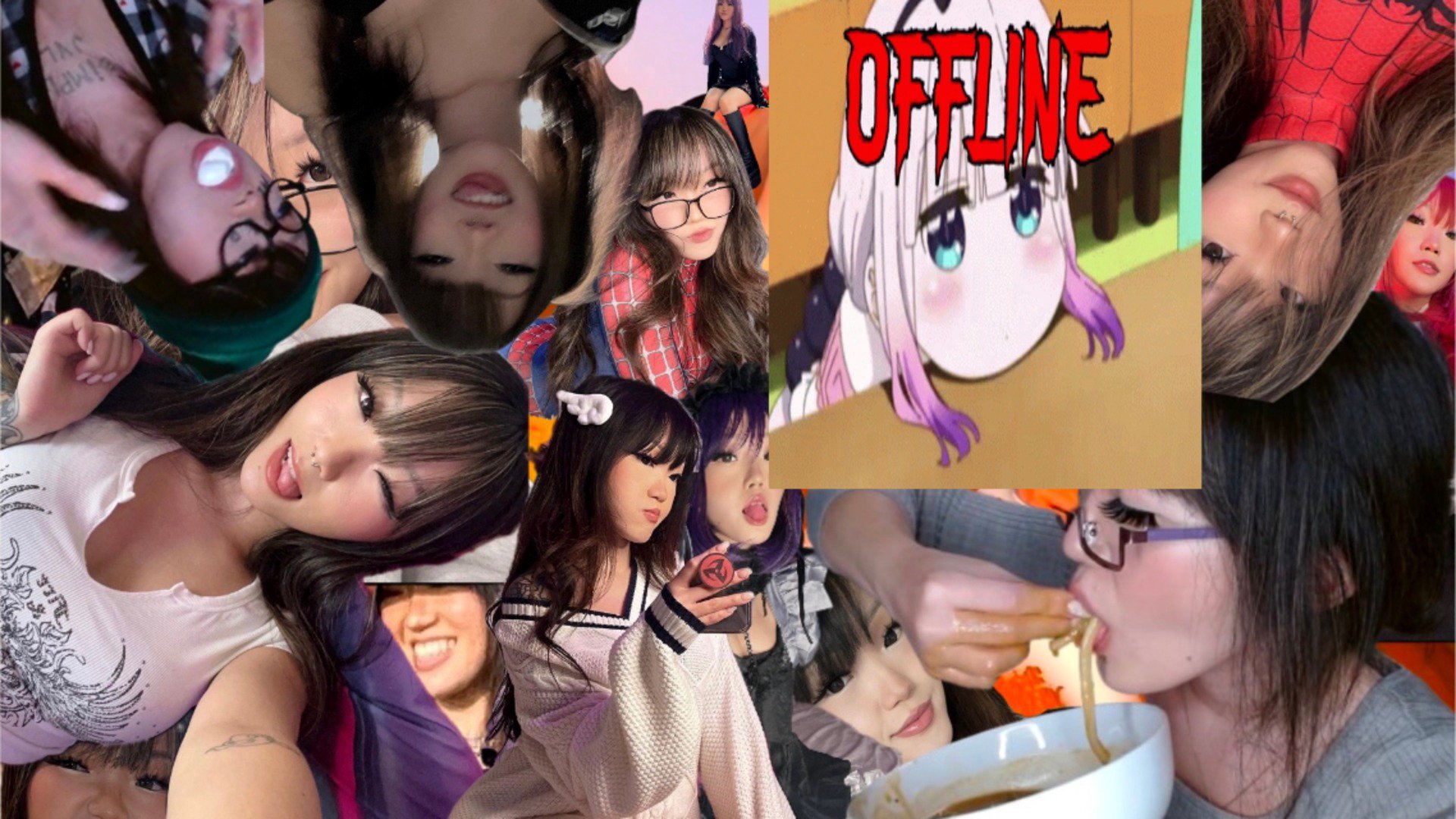 mvngokitty Offline Background