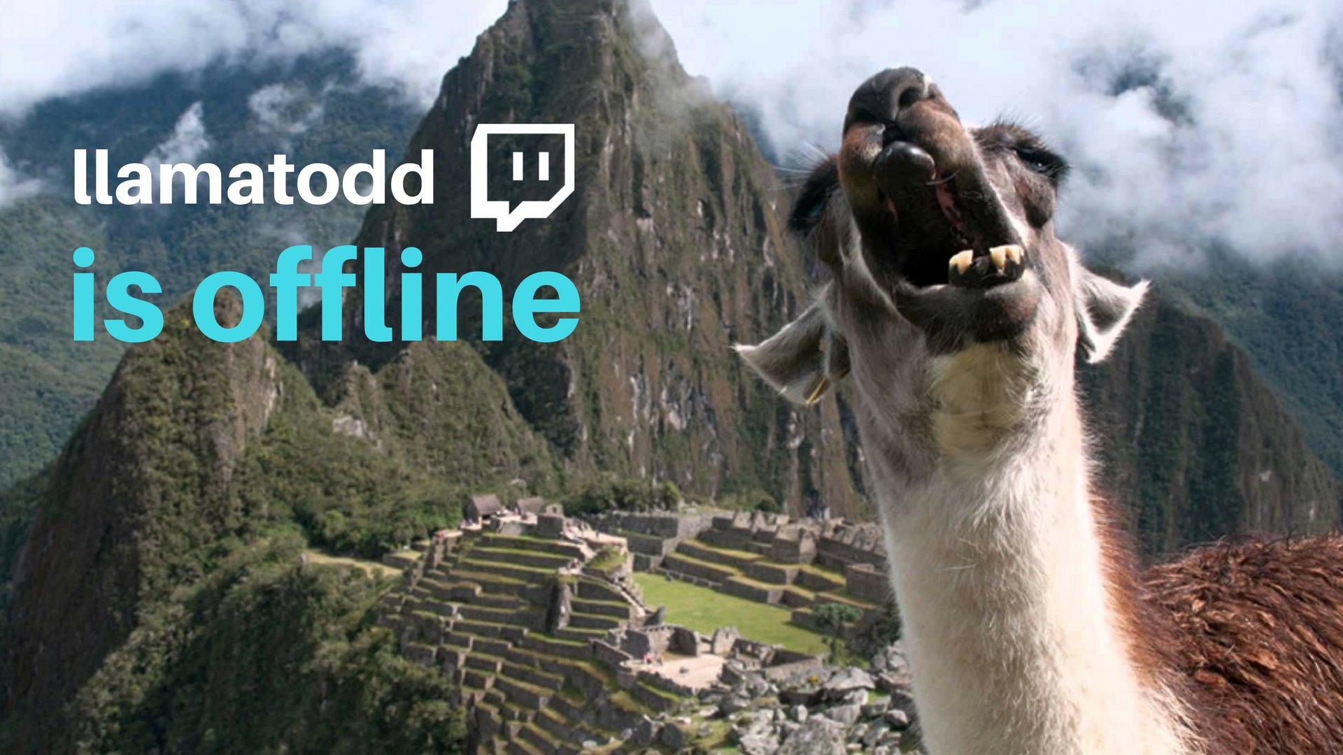 llamatodd Offline Background