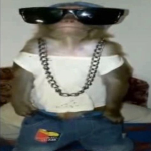 Flav1us_12x