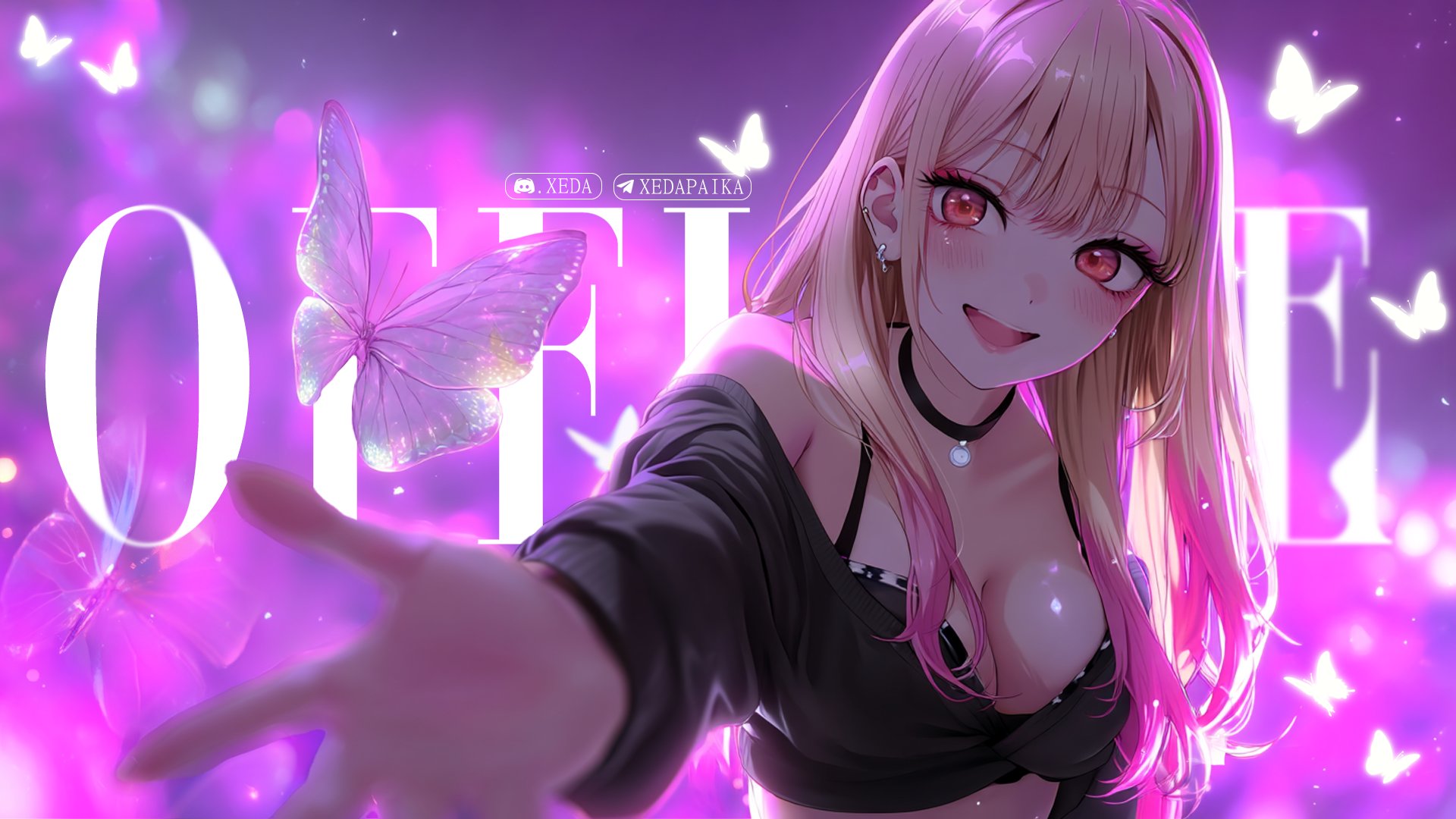 xedapai Offline Background