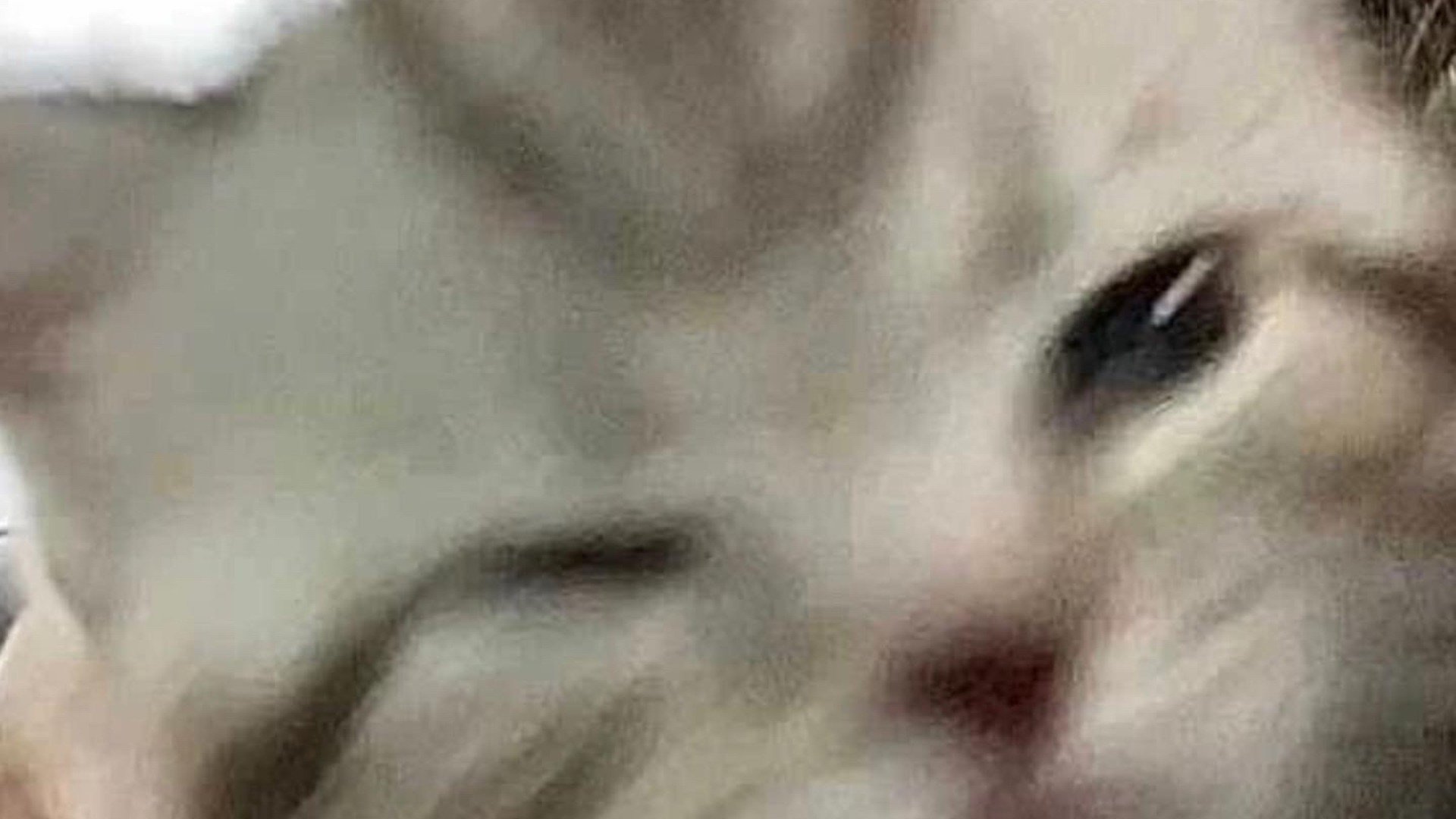 not_bxrlos Offline Background