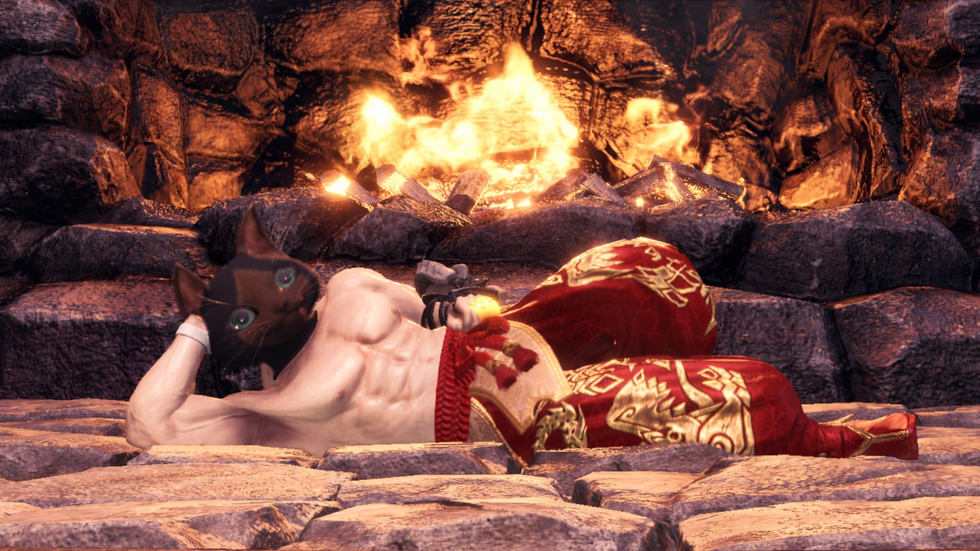 Dragobrad Offline Background