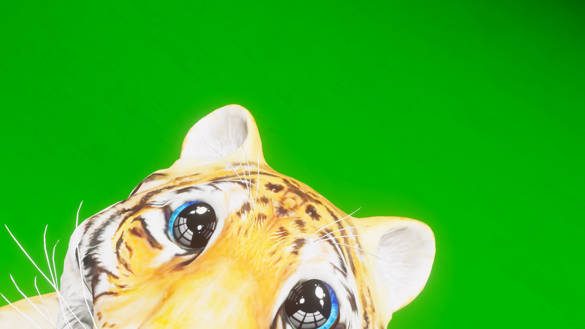 Diqsplint Offline Background