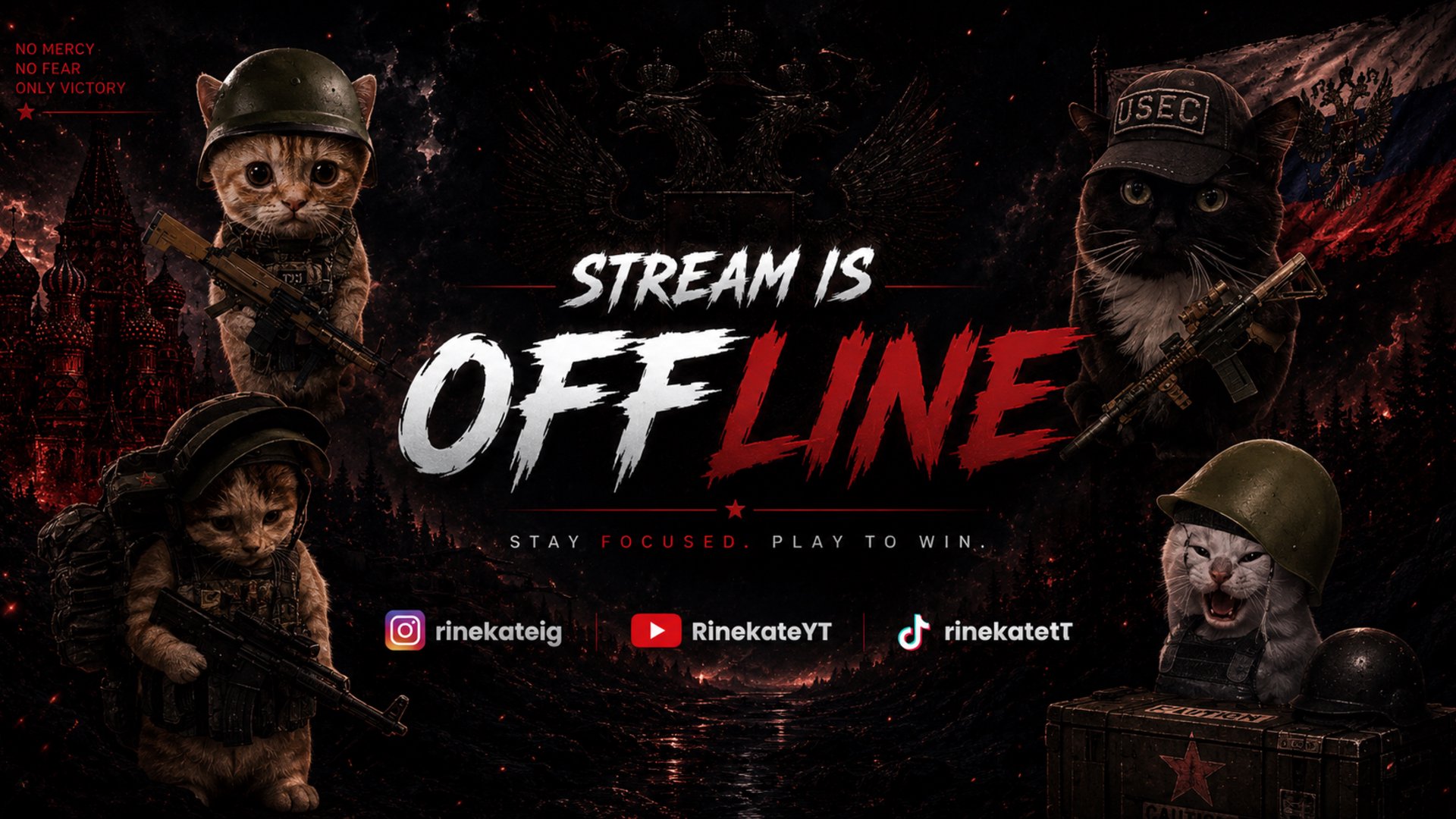 RineKate Offline Background